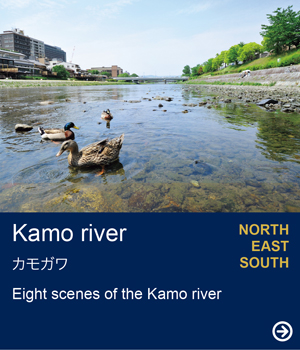 Kamo river｜Eight scenes of the Kamo river