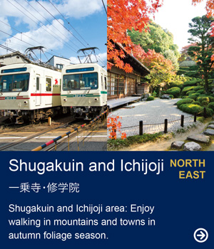 Shugakuin and Ichijoji｜Shugakuin and Ichijoji area: Enjoy walking in mountains and towns in autumn foliage season.