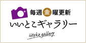 ギャラリー