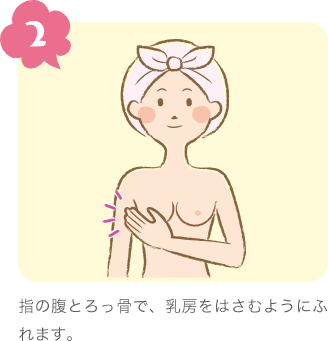 2.指の腹とろっ骨で、乳房をはさむようにふれます。