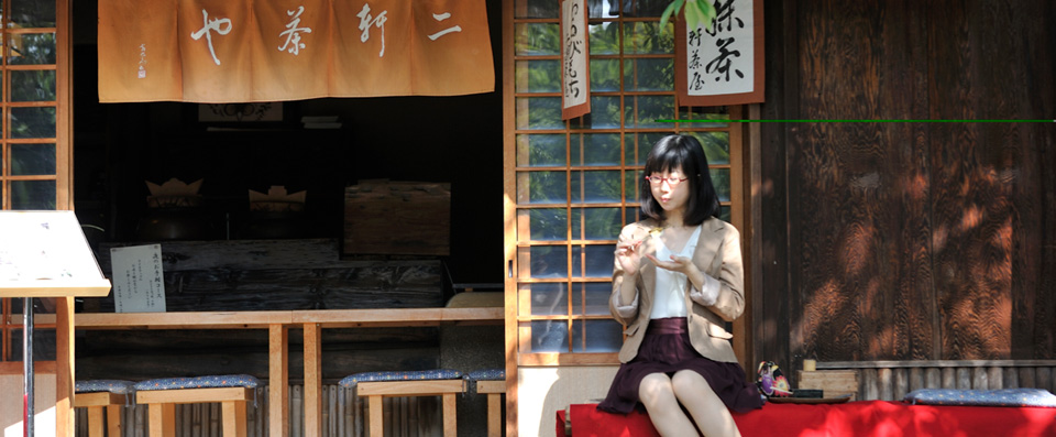 Please come to Okazaki in autumn,which meets  your needs to know information regarding Japanese culture.