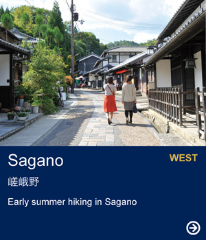 Sagano｜Early summer hiking in Sagano