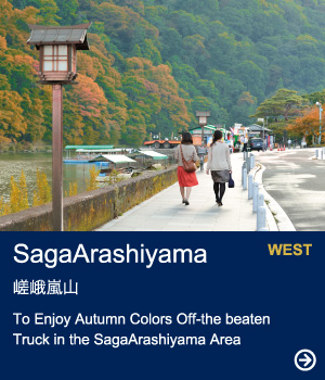 saga-arashiyama｜To Enjoy Autumn Colors Off-the beaten Truck in the SagaArashiyama Area