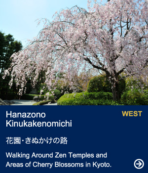 Hanazono
                    Kinukakenomichi｜Walking Around Zen Temples and Areas of Cherry Blossoms in Kyoto.