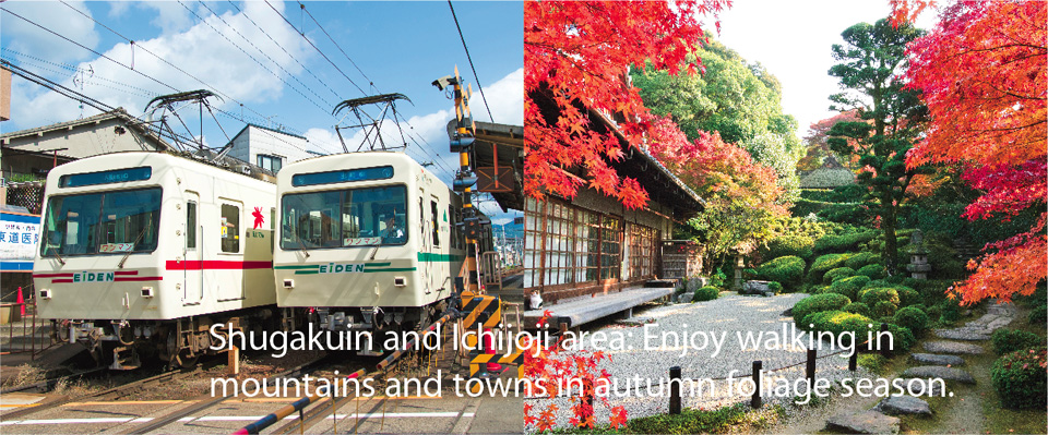 Shugakuin and Ichijoji area: Enjoy walking in mountains and towns in autumn foliage season.