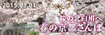 2015年03月　桜の北白川へ 春の京都さんぽ