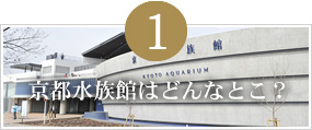 京都水族館はどんなとこ？