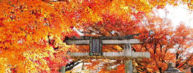 鷺森神社の写真イメージ01