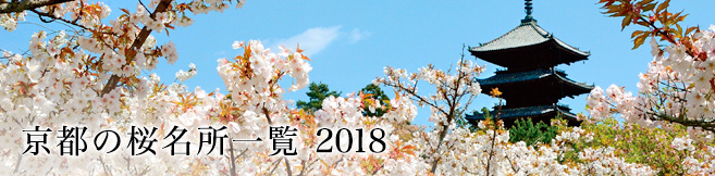 京都の桜名所一覧2018