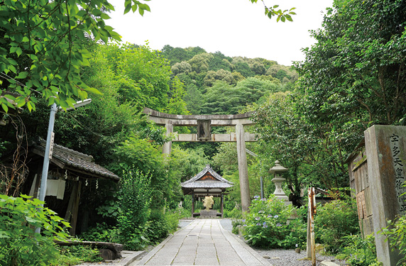 大豊神社｜京都いいとこウェブ おすすめ情報満載の京都観光サイト