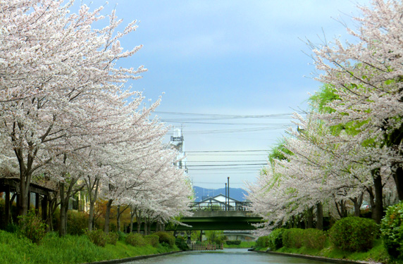 十石舟 |伏見桃山|京都いいとこウェブ おすすめ情報満載の京都観光サイト
